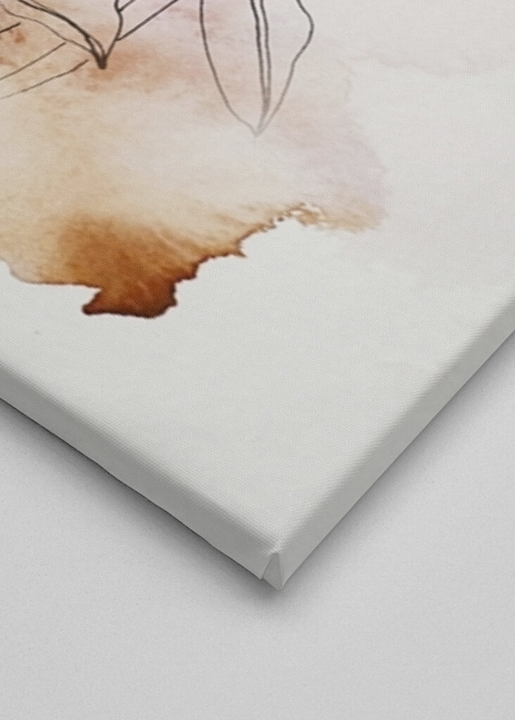 Elegante florale Linien