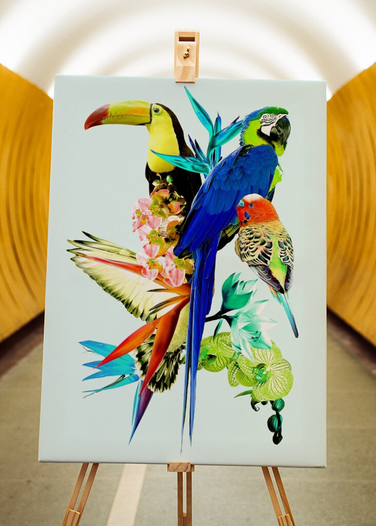 Koláž exotických vtákov