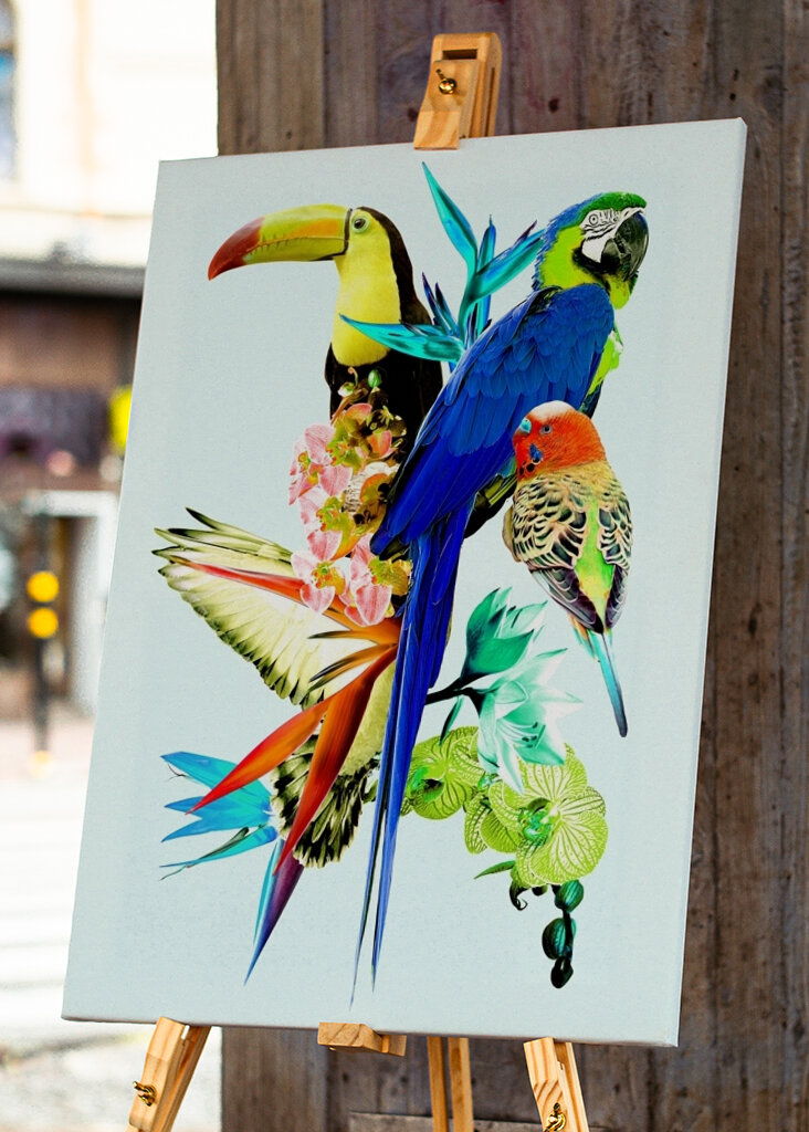 Koláž exotických vtákov