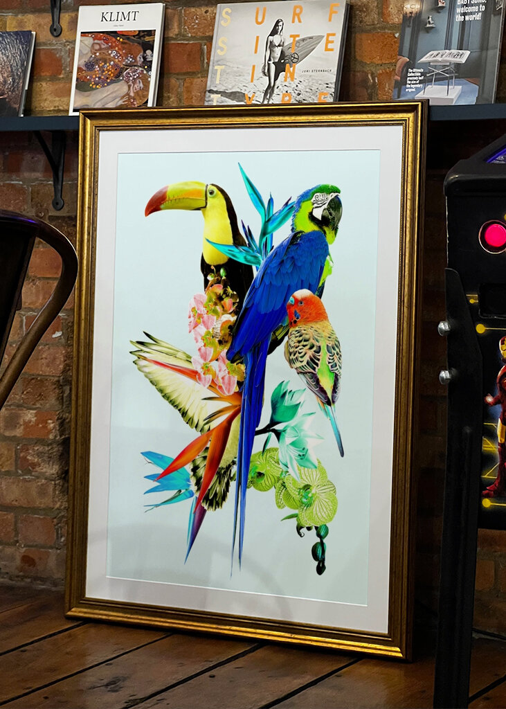 Koláž exotických vtákov