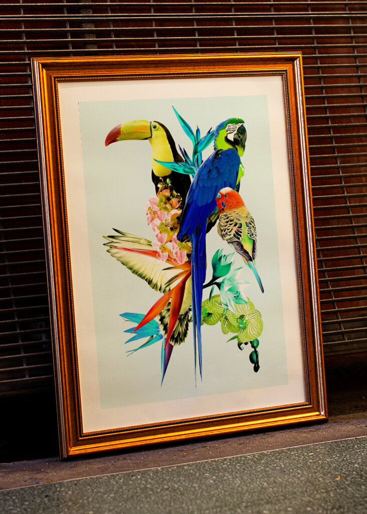 Koláž exotických vtákov