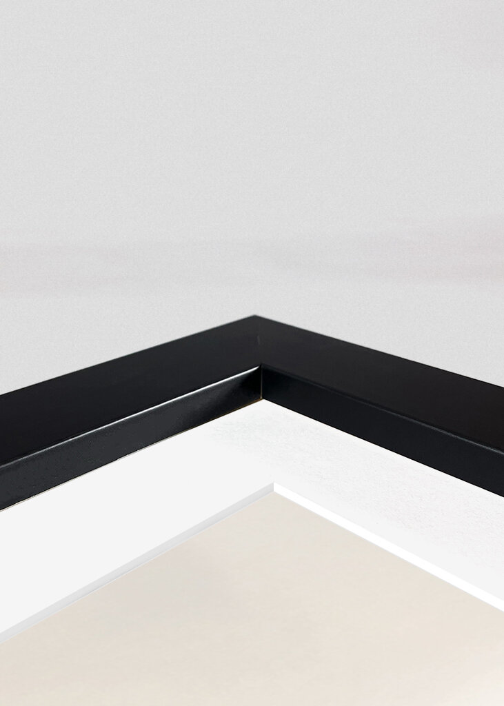 Misty Mountain Vista