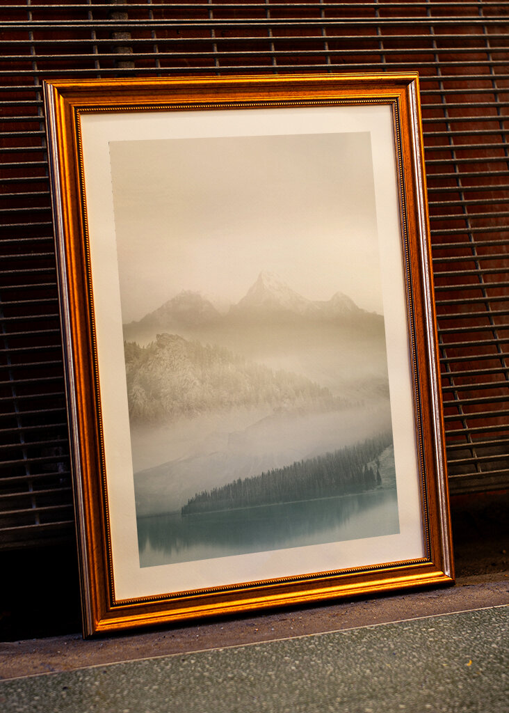 Misty Mountain Vista