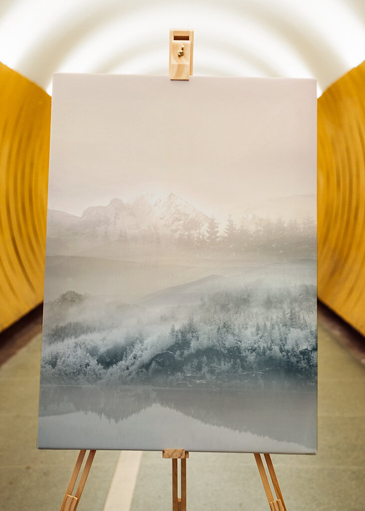 De mistige Droom van de Berg