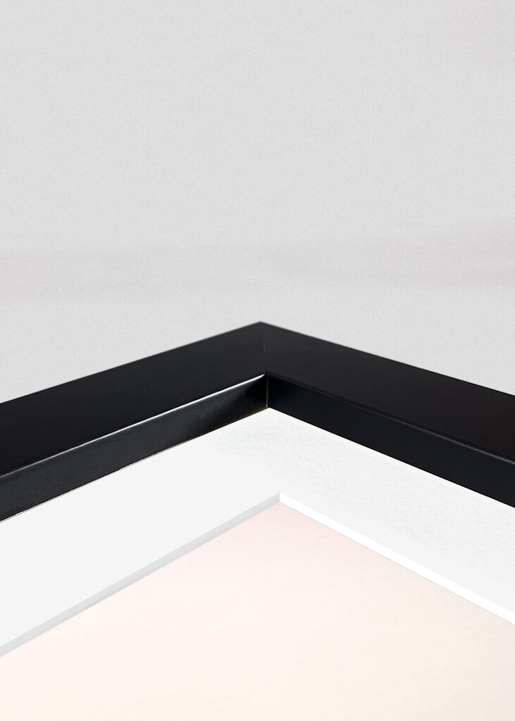 De mistige Droom van de Berg