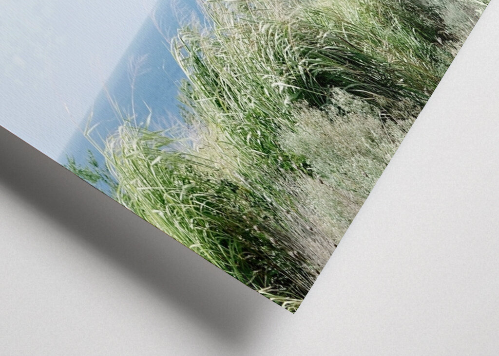 Vue paisible sur l’océan