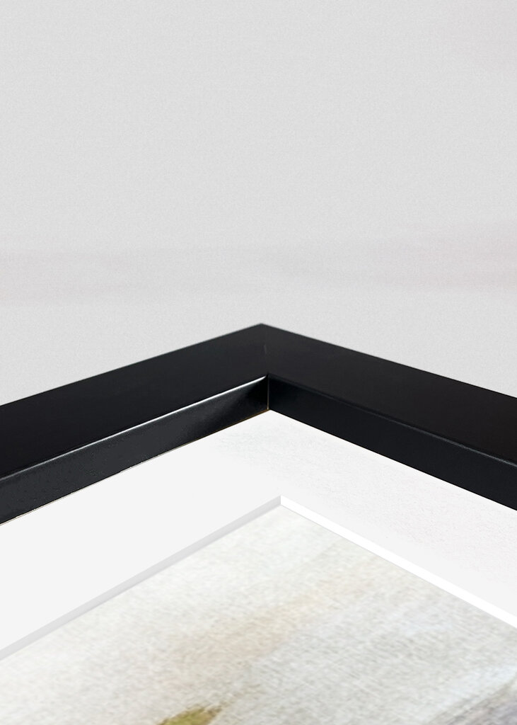 Misty Landscape Scene