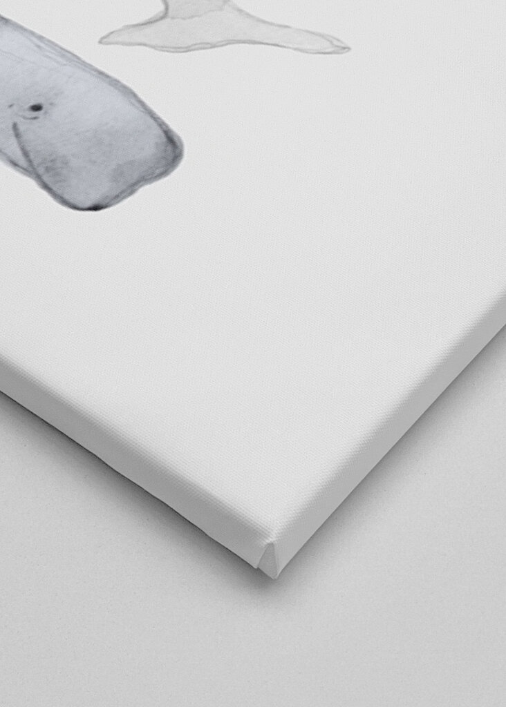 Balena Acquerello Arte