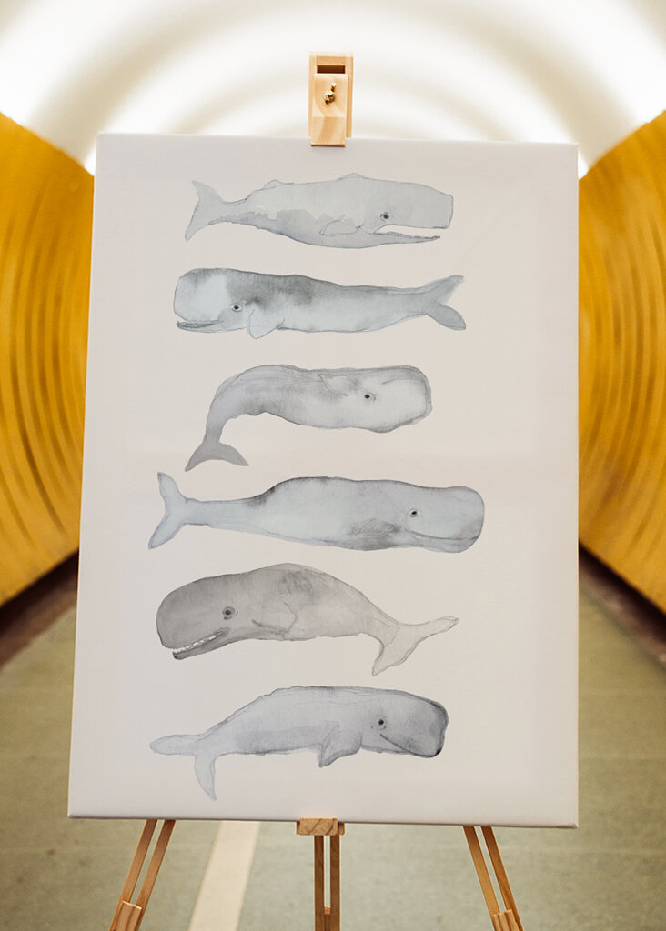 Balena Acquerello Arte