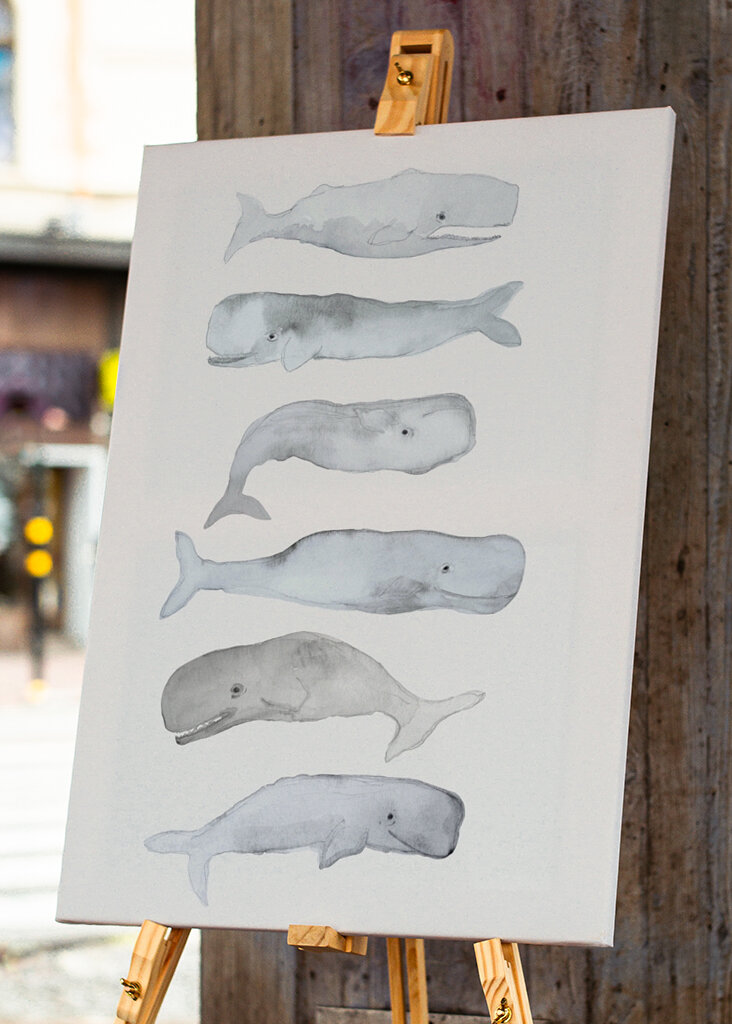 Balena Acquerello Arte
