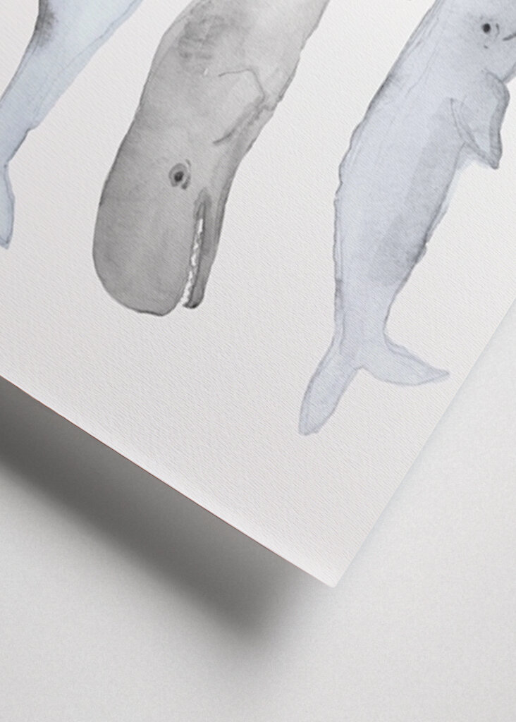 Balena Acquerello Arte