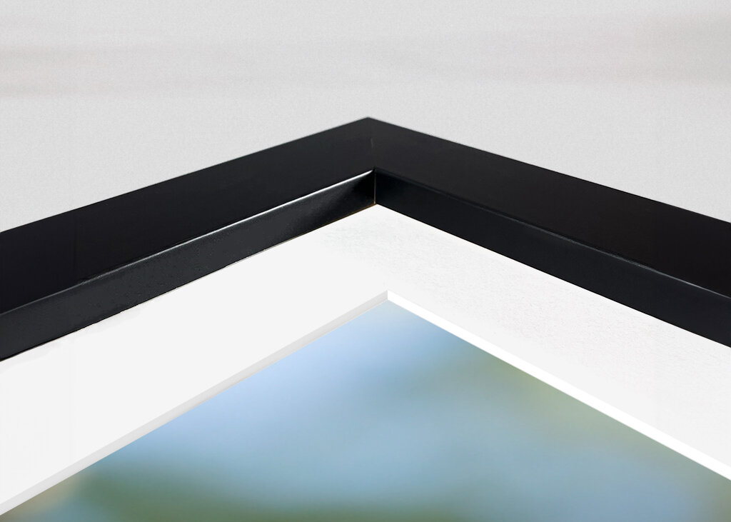 Kolmivarvastikka aarniometsässä