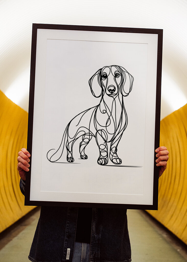 gravhund hund stregtegning