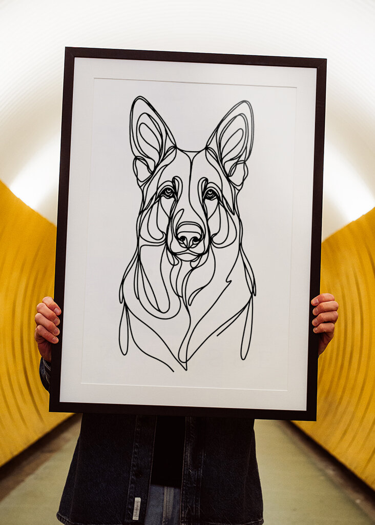 Berger allemand chien dessin au trait 