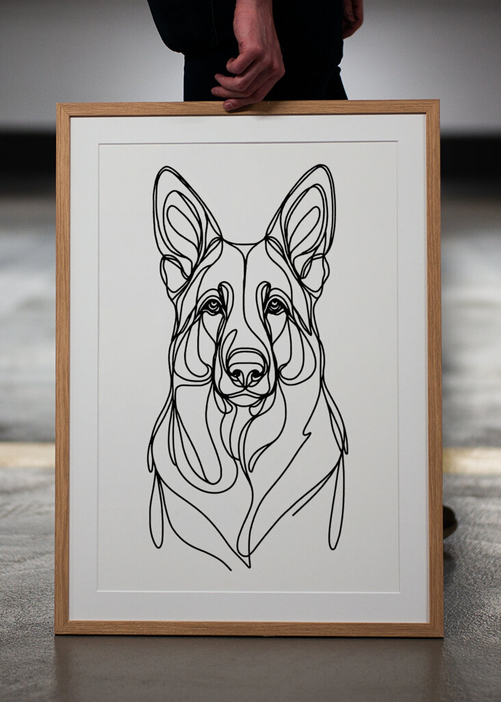 Berger allemand chien dessin au trait 