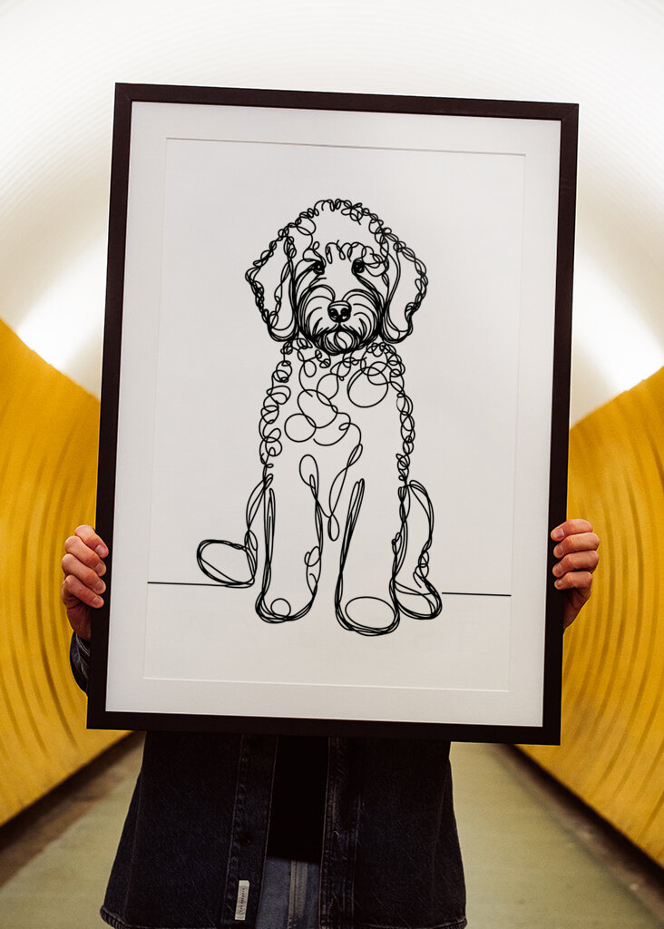 Labradoodle Dog Line Art 