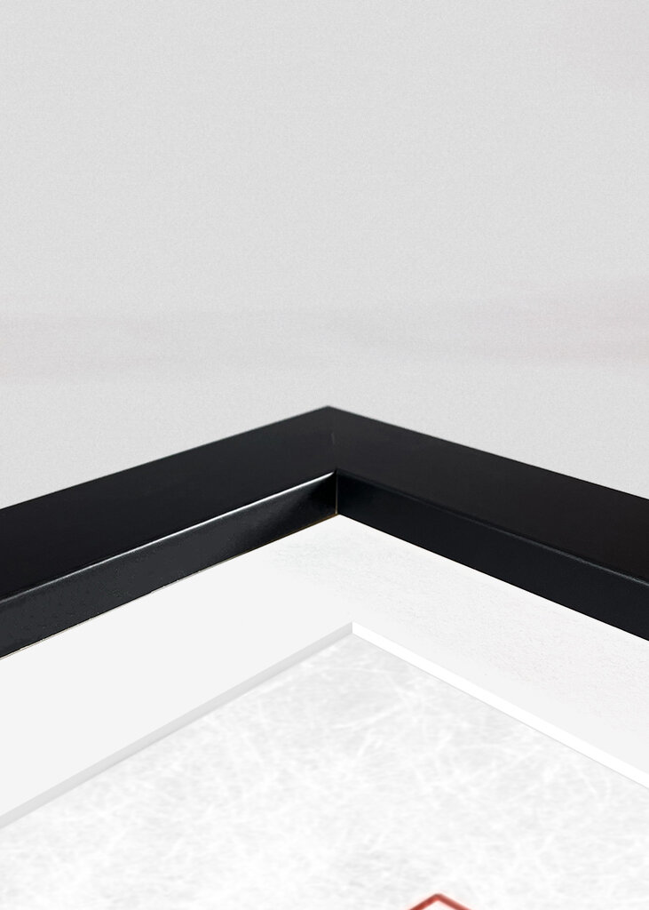 Zoro Samurai Warrior