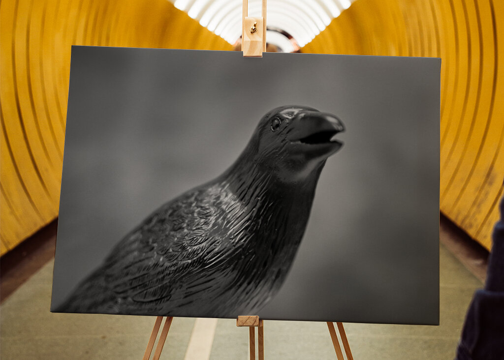 Schwarzer Rabe vor stürmischem Hintergrund