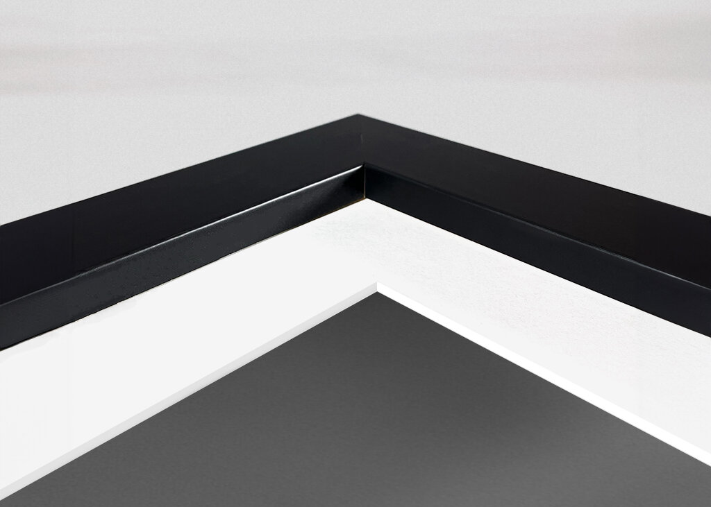 Schwarzer Rabe vor stürmischem Hintergrund