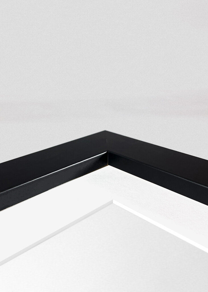 Woman in a black dress II