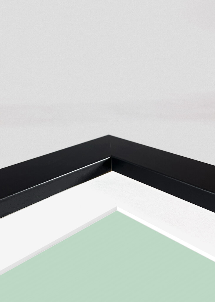 Eddie - den sultne kat