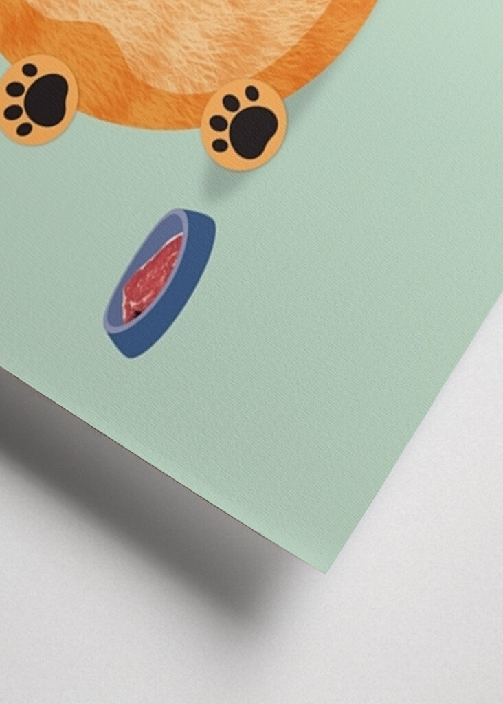 Eddie - den sultne kat