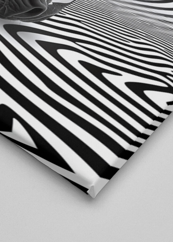 Zebra im Streifenfluss