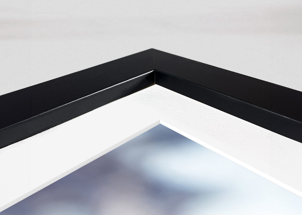 Lynx in Winter Evening Sunset