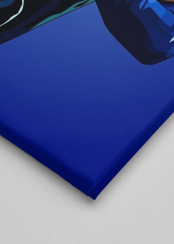 Cole Palmer Cold Celebration