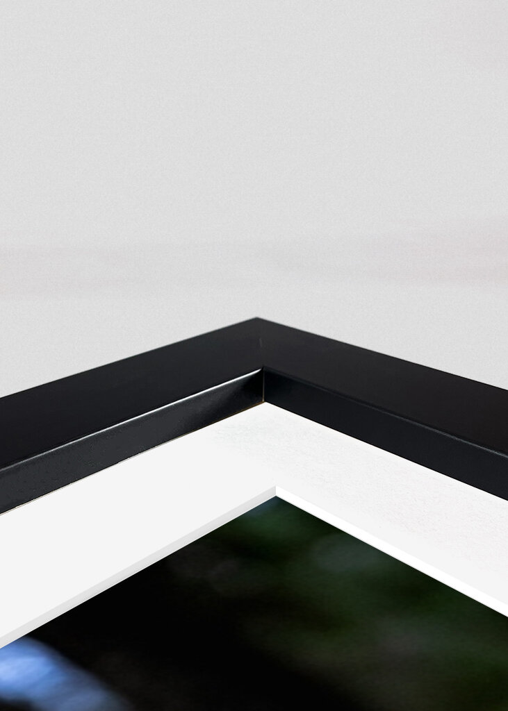 Houby na lesní mýtině