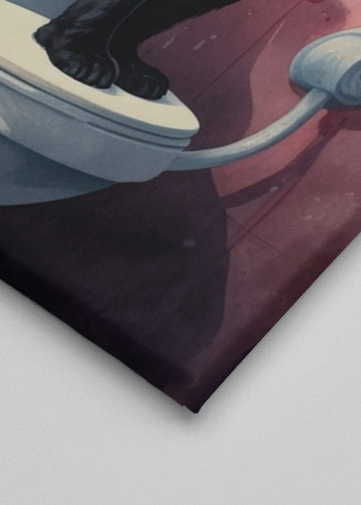 The Philosophical Cat