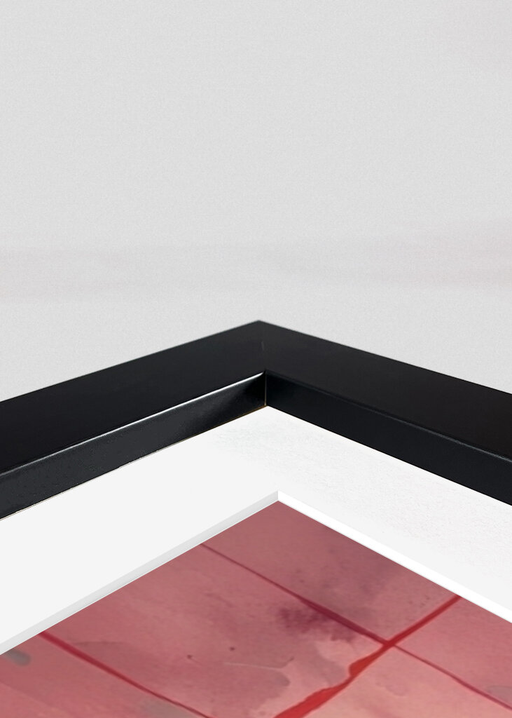 The Philosophical Cat