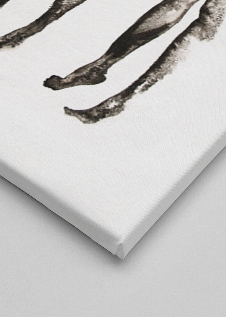 Absztrakt sziluettek