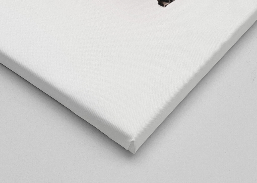 Forma plynulého pohybu