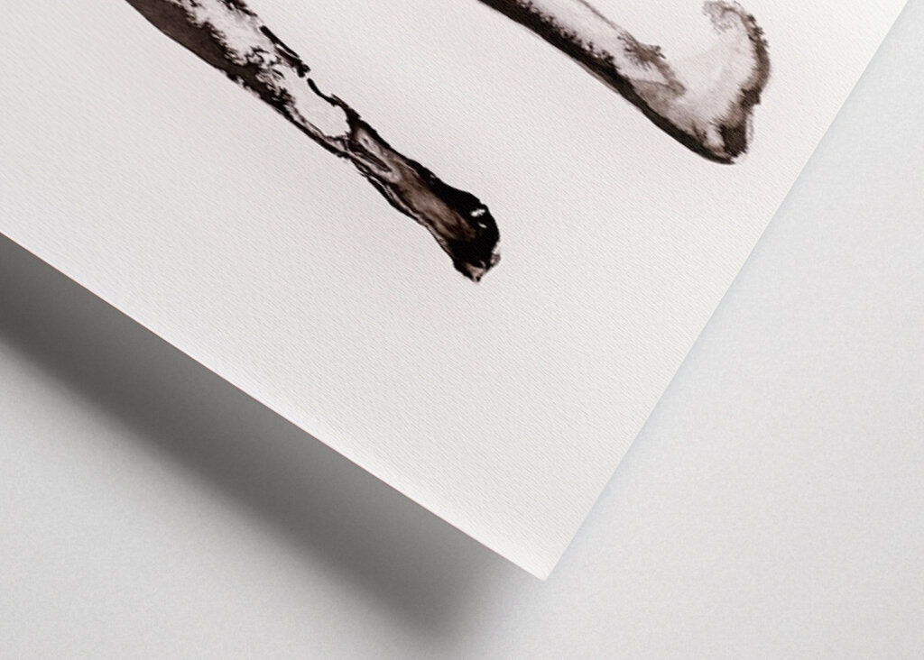 Forma plynulého pohybu