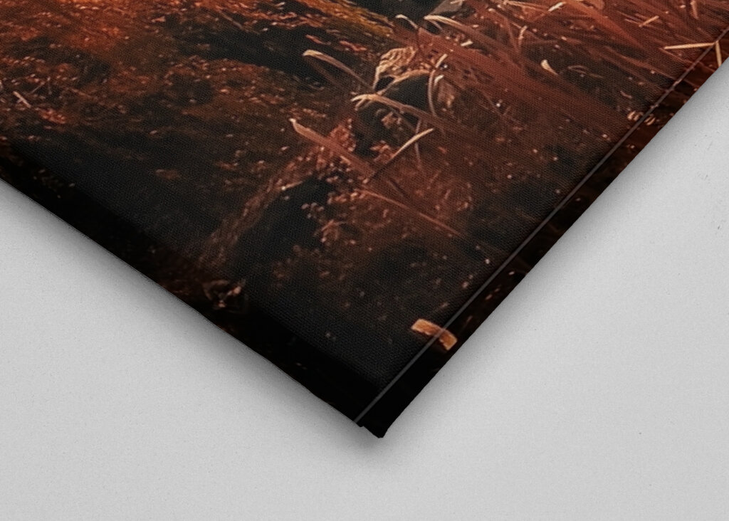 Centralpark New York