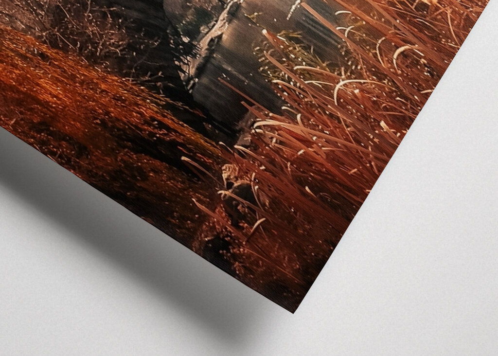 Centralpark New York