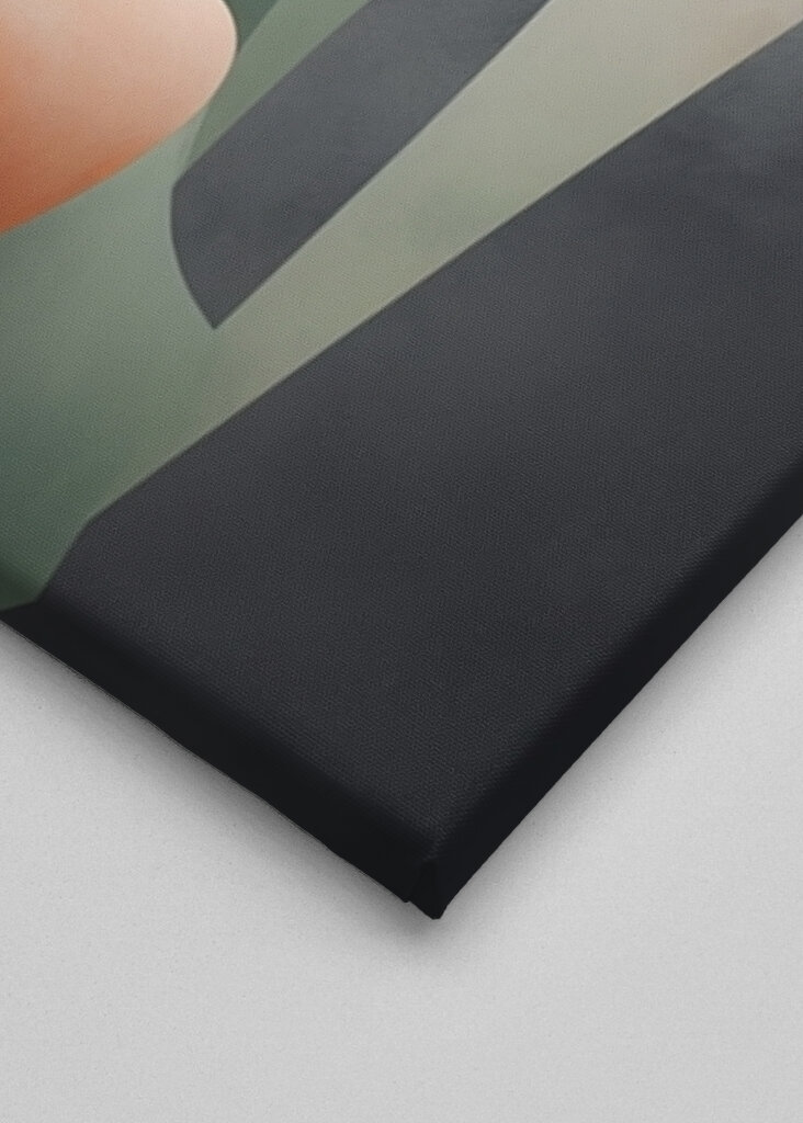 Organické abstraktné tvary