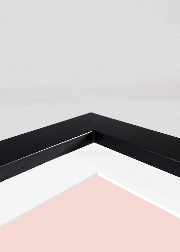 Vibrant Hummingbirds