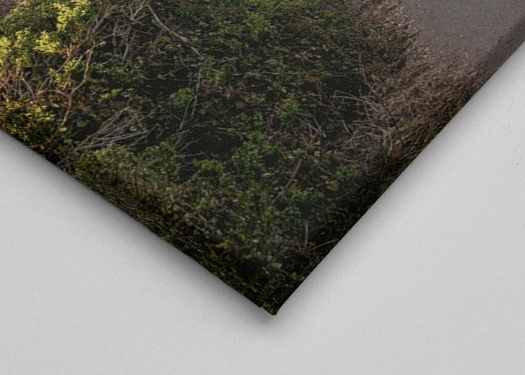 Stien til Golden Gate Bridge