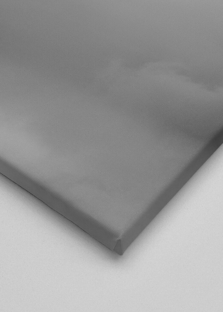 JAS 39 Gripen II B&W