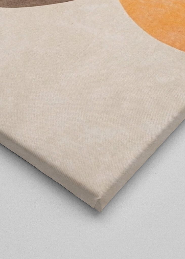 Minimalist Kiwi Fruit Abstract