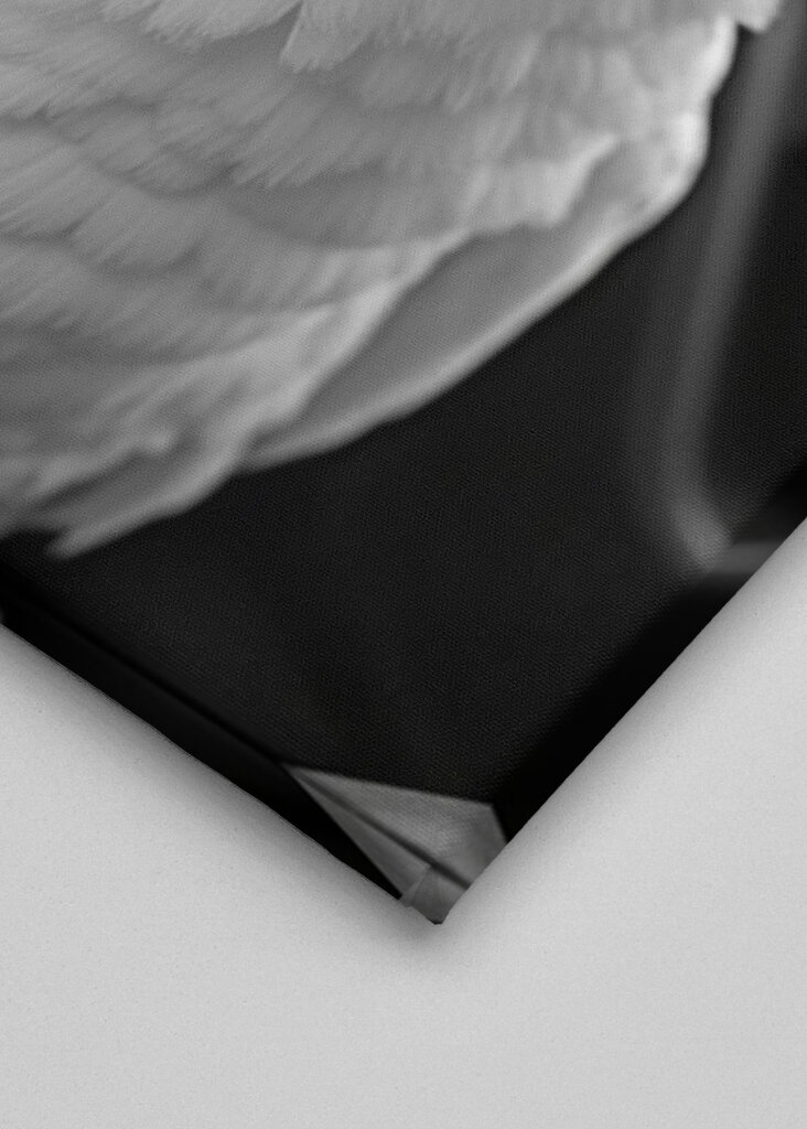 Kakadu w stylu retro