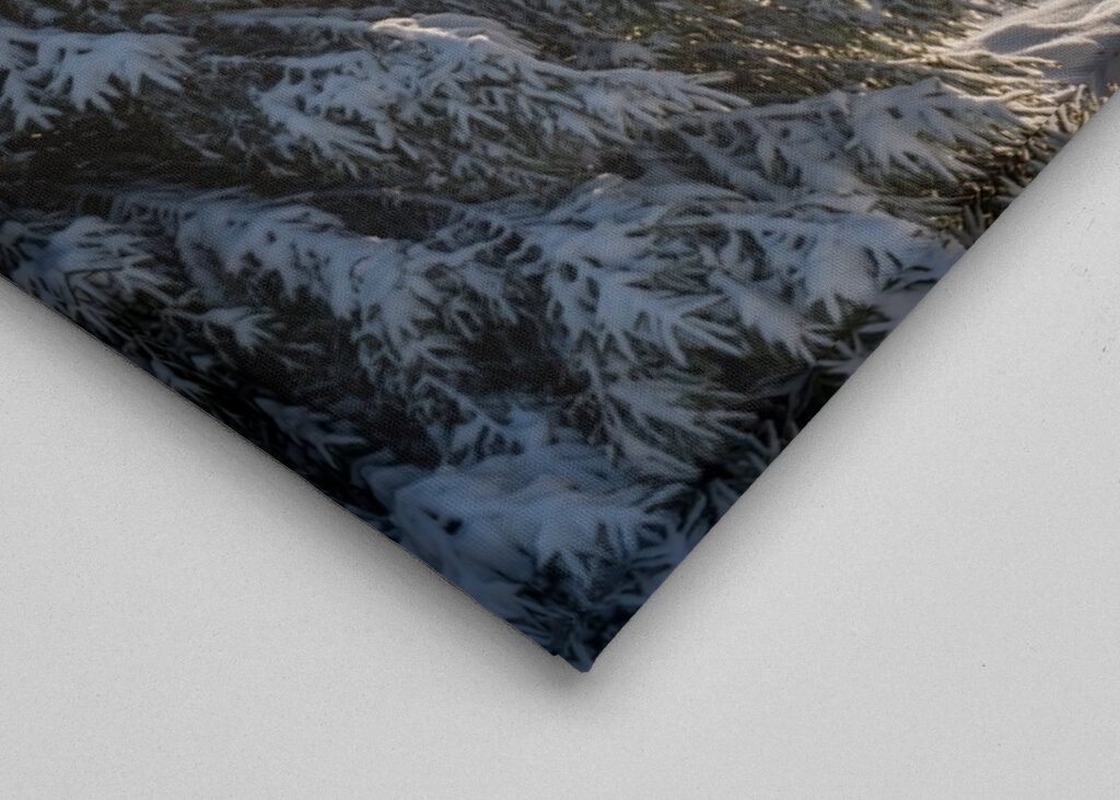 Die Brockenbahn im Harz