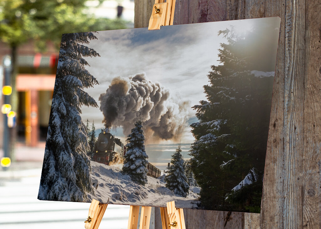 Die Brockenbahn im Harz