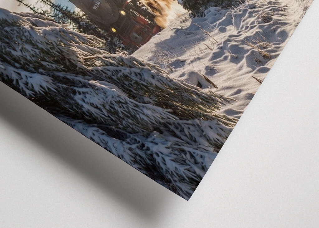 Die Brockenbahn im Harz