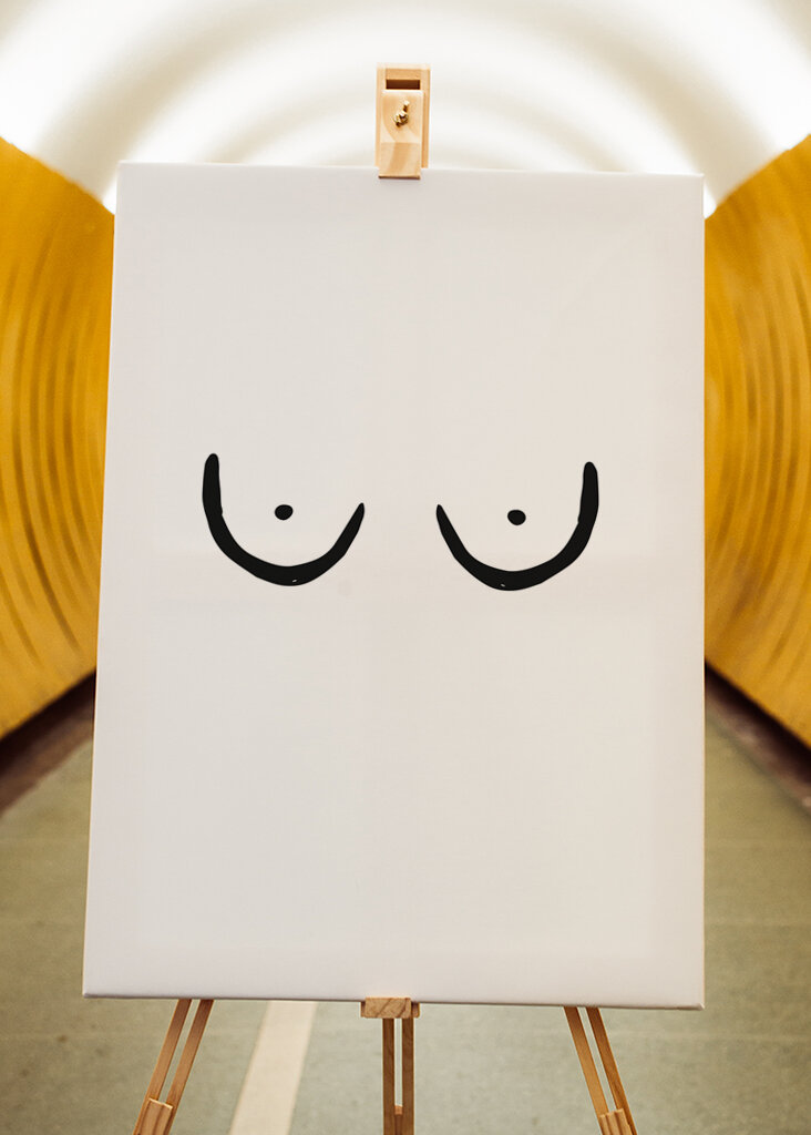 Minimalistiske kurver