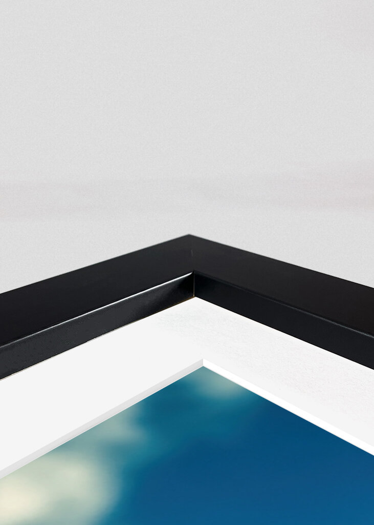 Flyvende gris drømme