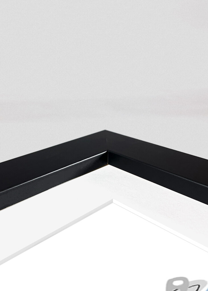 Coloridas latas de refresco