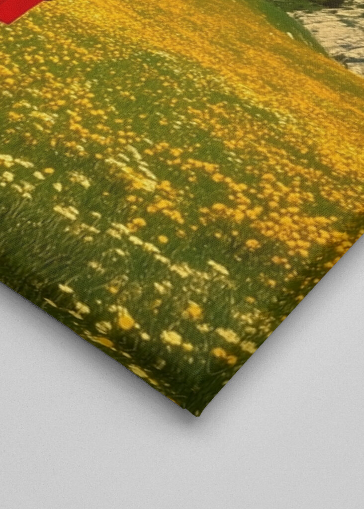 The Wanderer's Dream